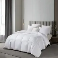 Martha Stewart Light Warmth Down Comforter