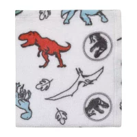 Universal Baby Blanket