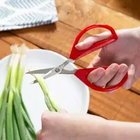 Joyce Chen Kitchen Shears