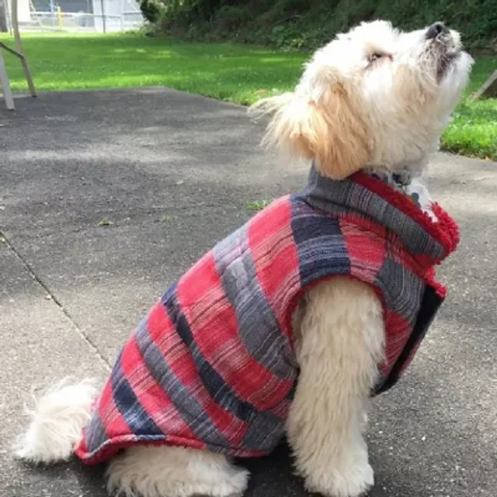 Pet Life ® 'Scotty' Tartan Classical Plaided Insulated Dog Coat Jacket