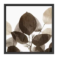 Lumaprints Chocolate Leaves 1 Framed Canvas Art
