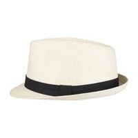 Levi's Mens Fedora
