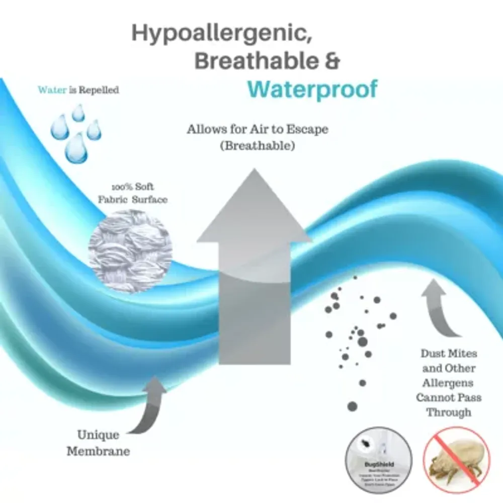 BedCare Classic Allergy and Bed Bug Proof Pillow Cover