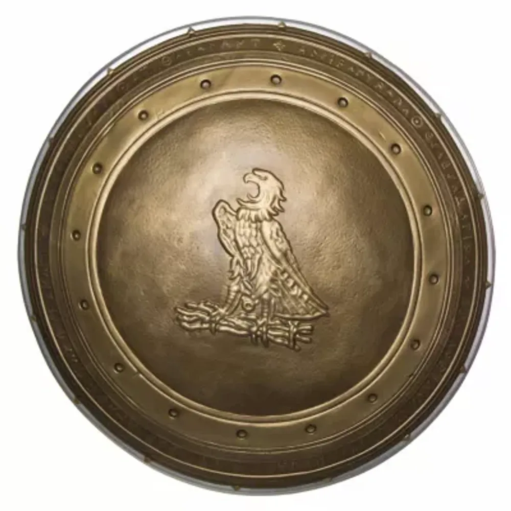 Womens DC Comics Wonder Woman Dawn Of Justice Shield Costume Accessory