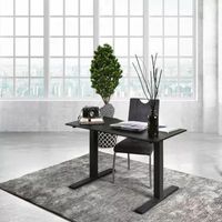 Jessenia Office Collection Adjustable Height Computer Desk