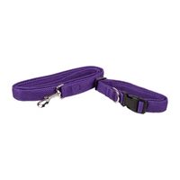 Pet Life Aero Mesh 2-In-1 Dual Sided Comfortable And Breathable Adjustable Mesh-Collar Dog Leash