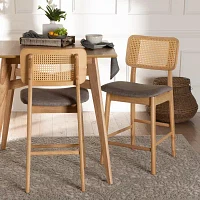 Dannon 2-pc. Counter Height Bar Stool
