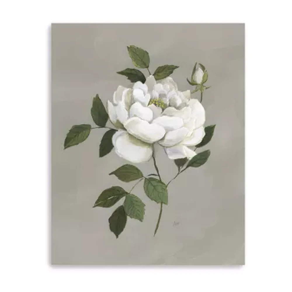 Lumaprints Botanical Rose Giclee Canvas Art