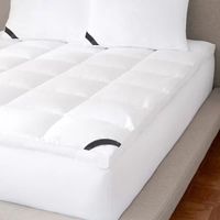 Queen Street Elite 300 Thread Count Cotton Top Sateen Mattress Topper