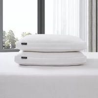 Beautyrest Tencel 2pack Allergen Barrier Down 2-Pack Firm Density Bed Pillow