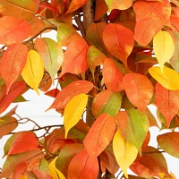 Nearly Natural 3' Orange Ficus Artificial Tree