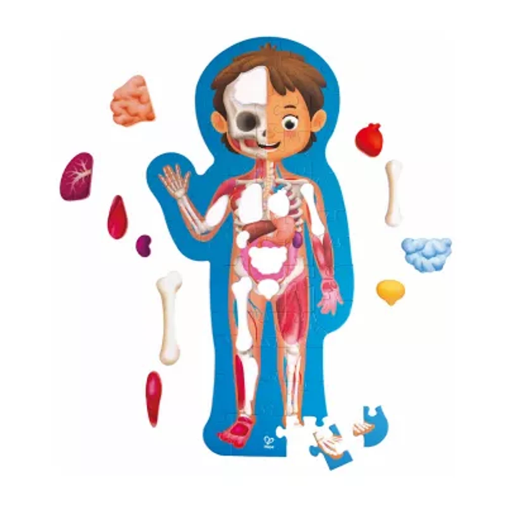 Hape Human Body Puzzle