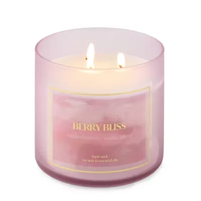 Distant Lands Berry Bliss 3-Wick Scented Jar Candle