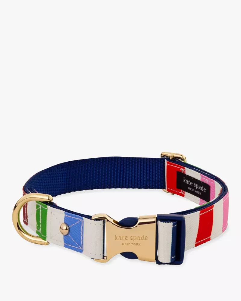 Adventure Stripe Collar