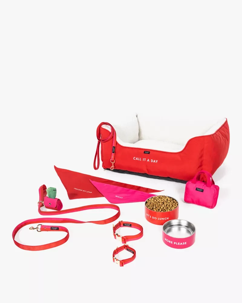 Colorblock Leash