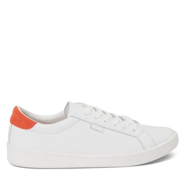 keds little burgundy