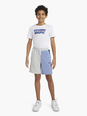 Colorblocked Jogger Shorts Big Boys S-XL