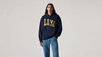 Relaxed Fit Graphic Hoodie Sweatshirt