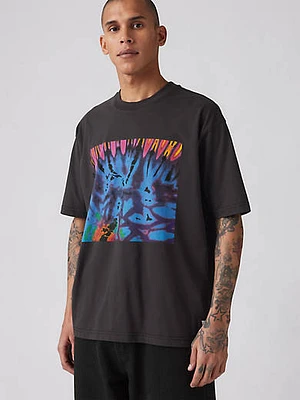 Levi's® Skateboarding Graphic Boxy T-Shirt