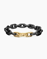 Chain Links Bracelet with Black Titanium and 18K Yellow Gold