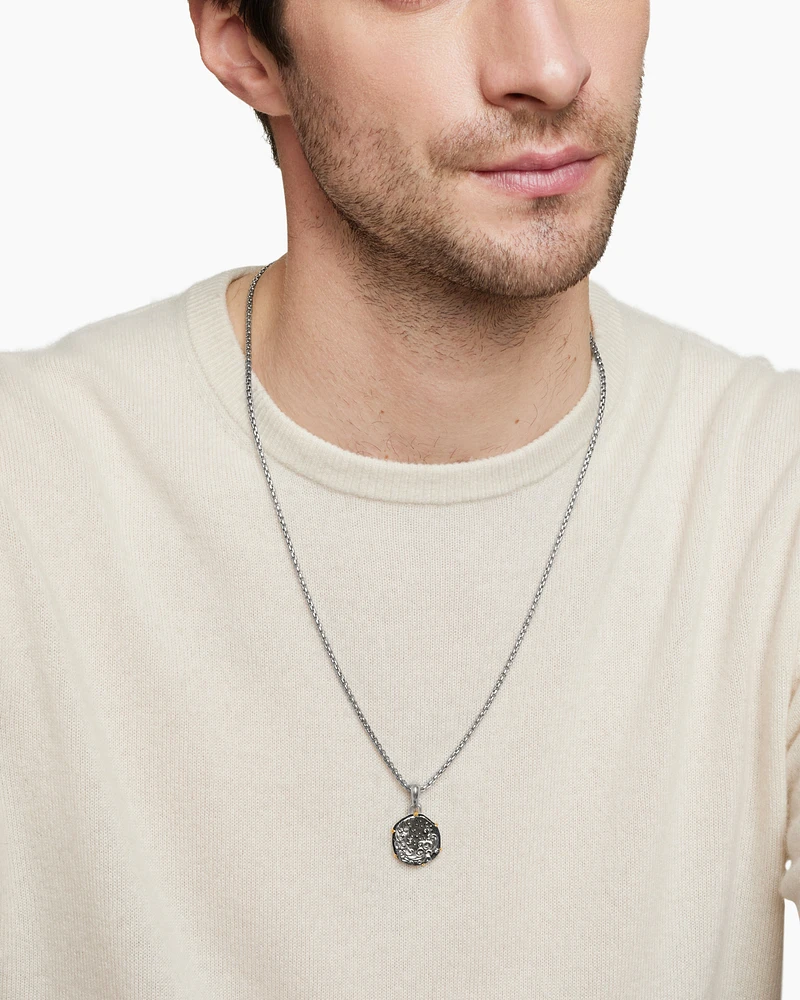 Aquarius Amulet in Sterling Silver with 18K Yellow Gold, 33mm