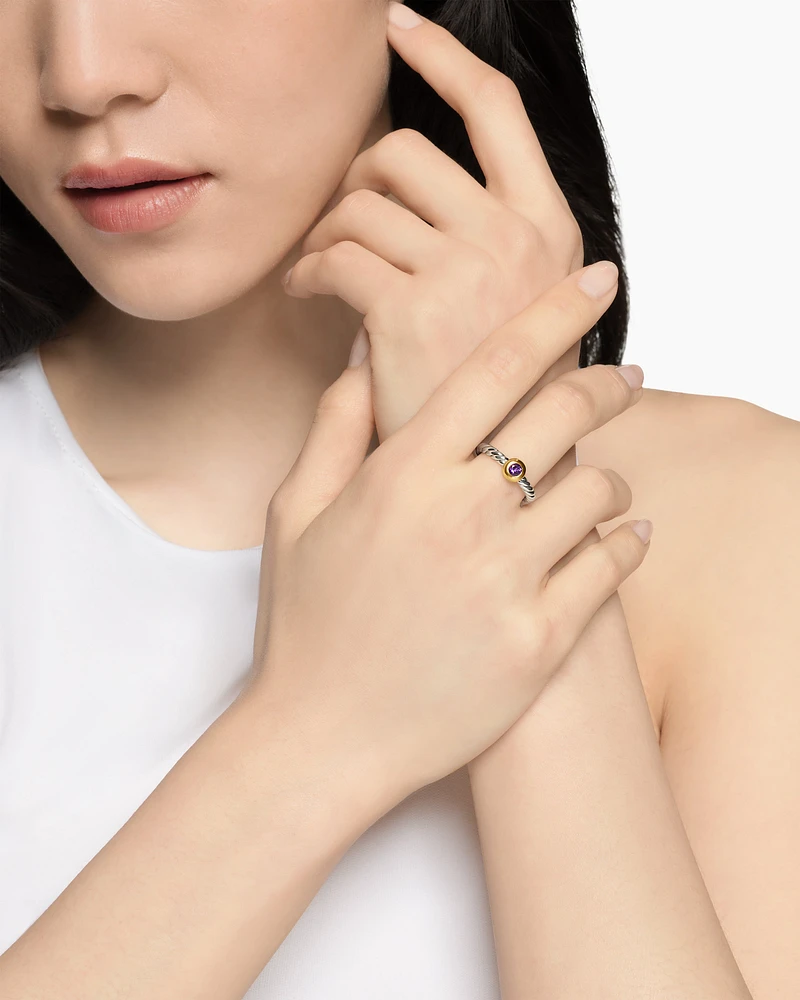Petite Cable Ring Sterling Silver with 14K Yellow Gold and Amethyst, 2.8mm