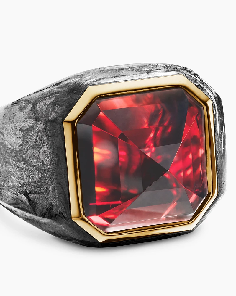 Forged Carbon Signet Ring in 18K Yellow Gold and Garnet, 17.7mm