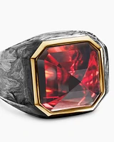 Forged Carbon Signet Ring in 18K Yellow Gold and Garnet, 17.7mm