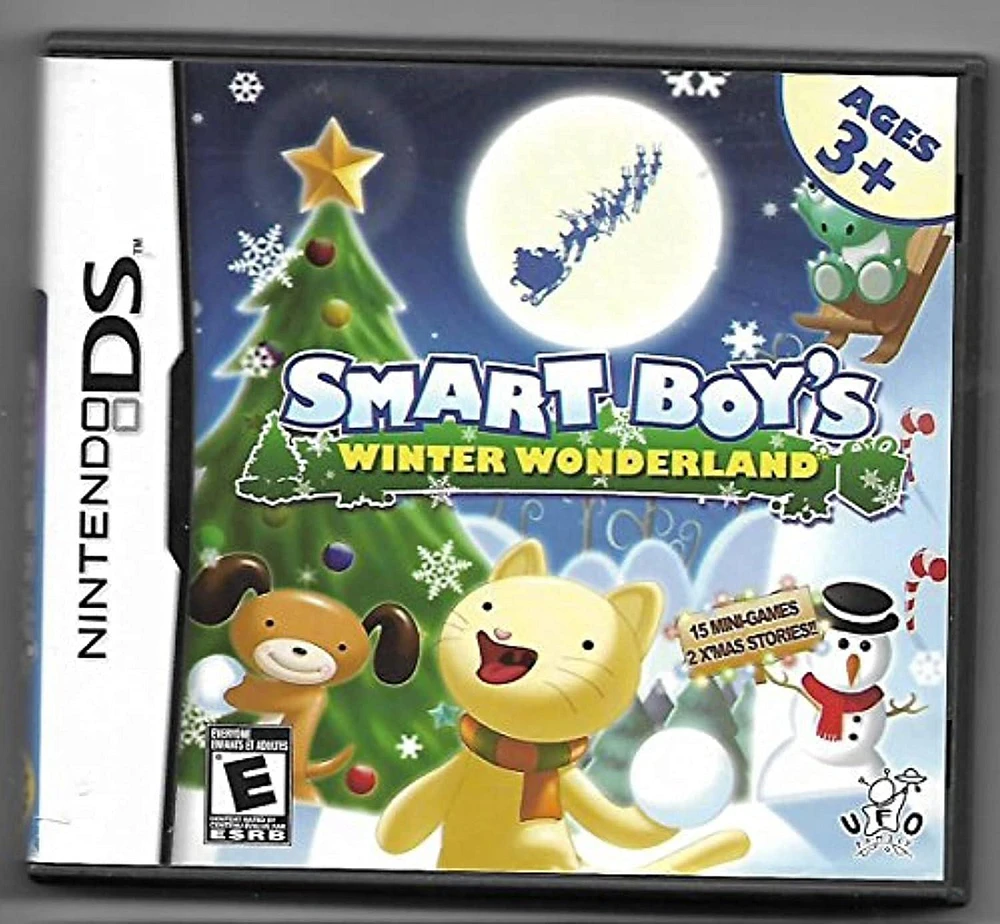Smart Boys Winter Wonderland - Nintendo DS