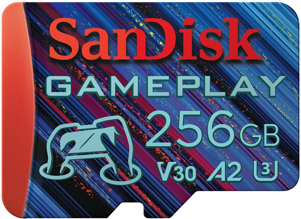 MicroSD card 256GB