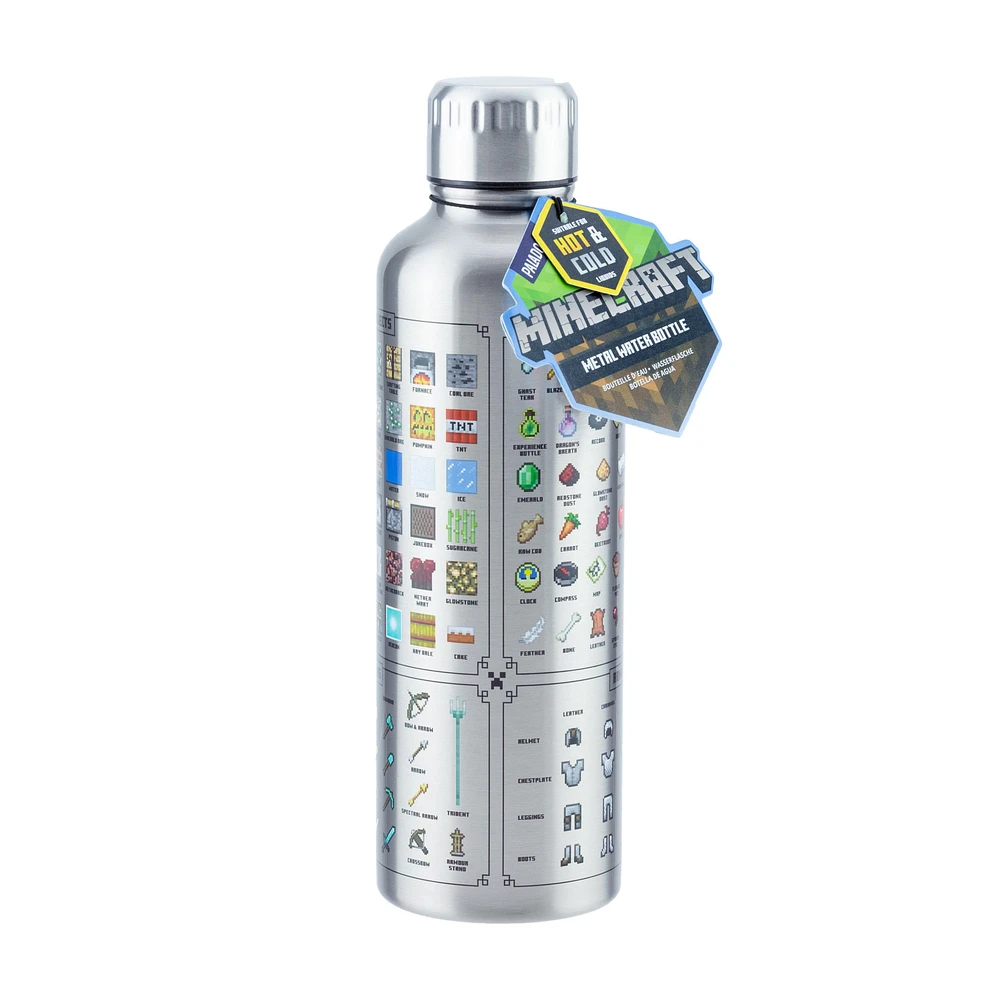 Minecraft Metal 17oz Water Bottle