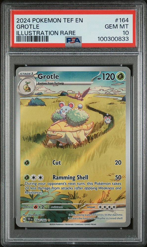 2024 Pokemon Tef En-temporal Forces 164 Grotle Illustration Rare PSA