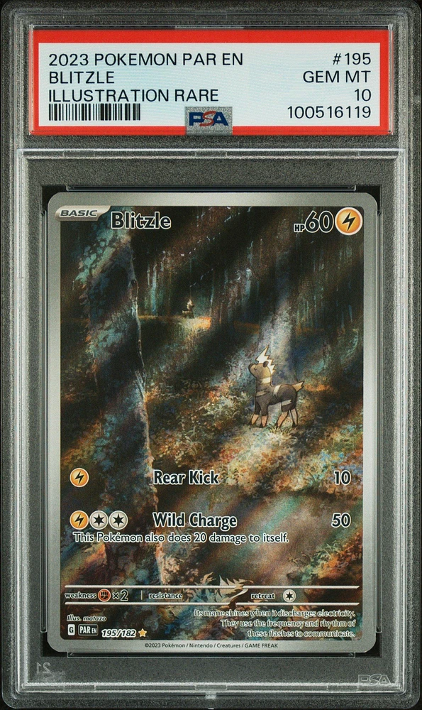 2023 Pokemon Par En-paradox Rift 195 Blitzle Illustration Rare PSA