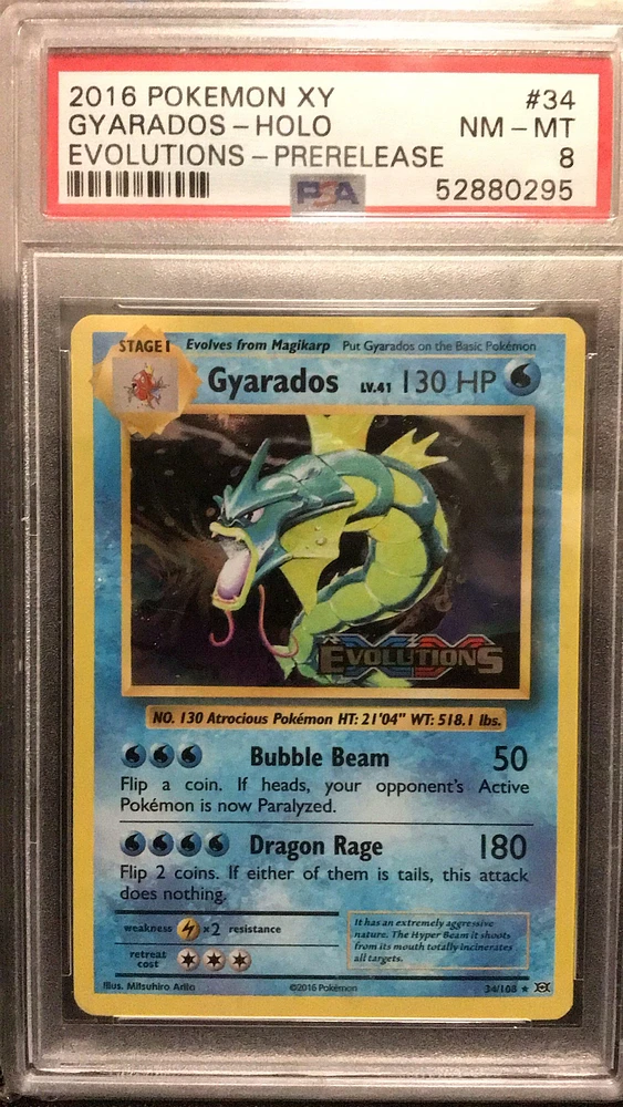 2016 Pokemon Xy Evolutions 34 Gyarados-holo Prerelease PSA 8