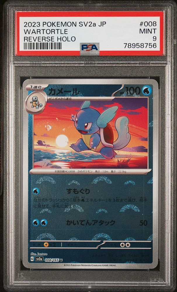 2023 Pokemon Japanese Sv2a-pokemon 151 008 Wartortle Reverse Holo PSA 9