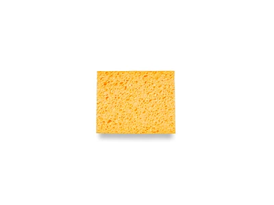 Sponge