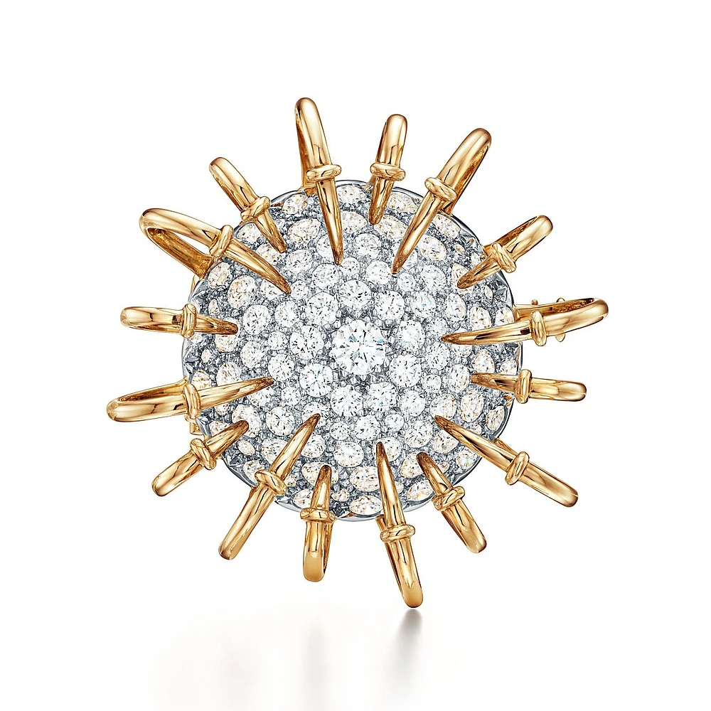 Apollo by Tiffany Brooch