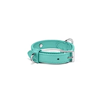 Pet Essentials Collar