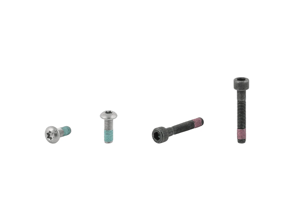 Electra Townie Go! 5i Rack Bolt Set