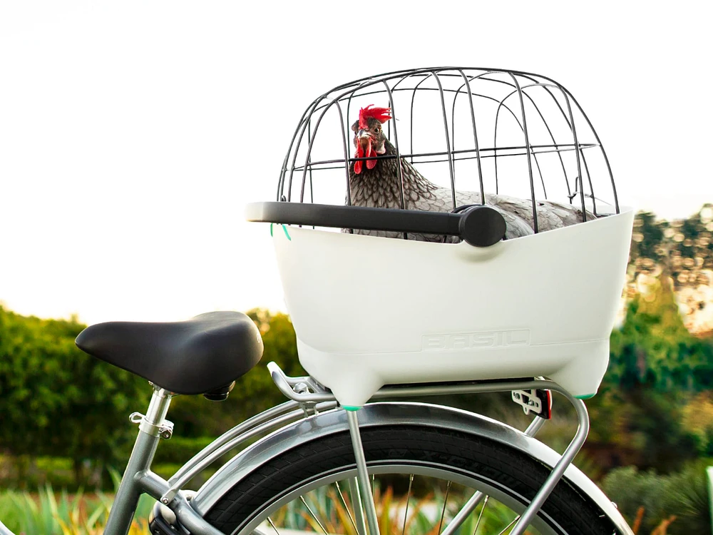 Electra Basil MIK Pet Carrier