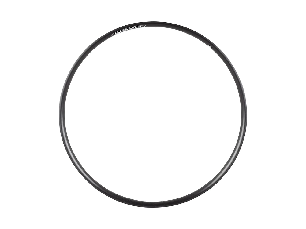 Electra Townie Go! 26˝ Rim