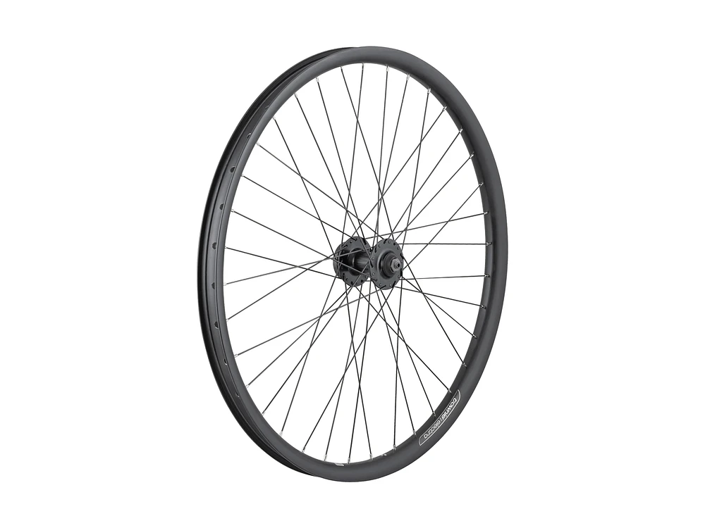 Electra Townie Go! 35mm Wide Rim 7D 26˝ Wheel
