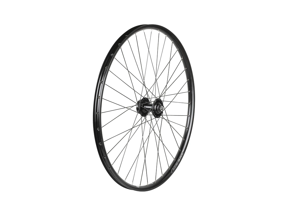 Electra Townie Go! 7D 26˝ Wheel