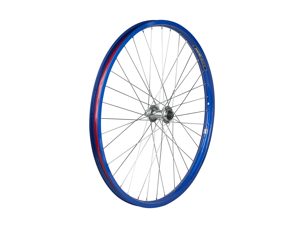 Electra Townie Go! 8i Centerlock Disc 26˝ Wheel