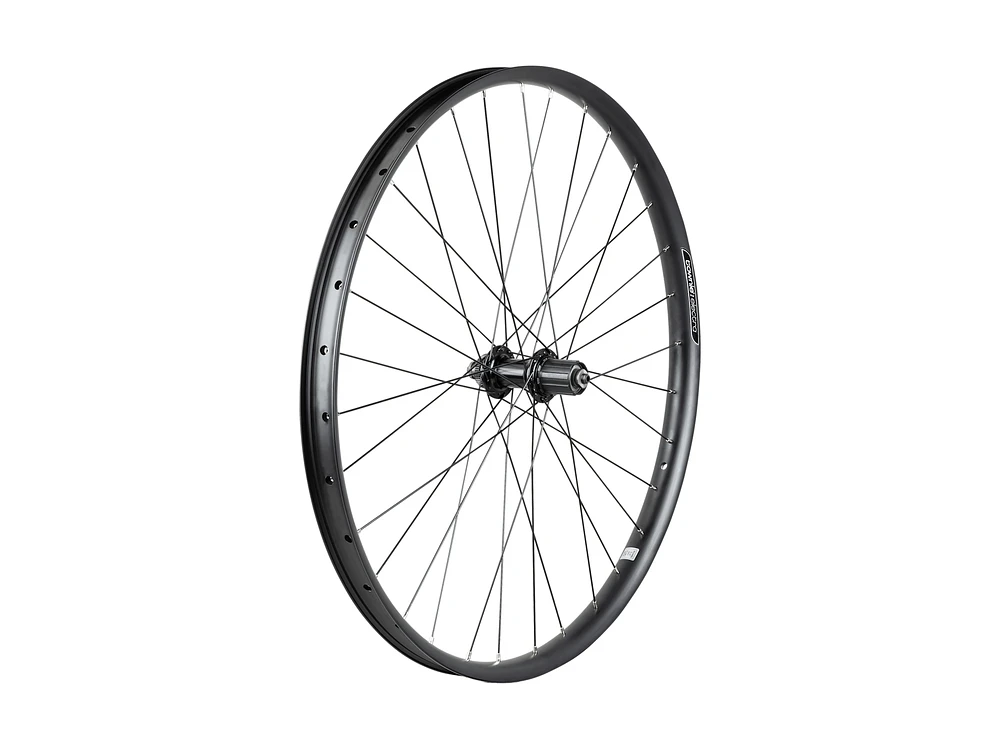 Electra Townie Path 9D EQ Centerlock Disc 27.5˝ Wheel