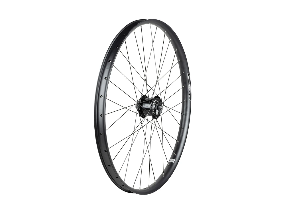 Electra Townie Path EQ 6-Bolt Disc 27.5˝ Wheels