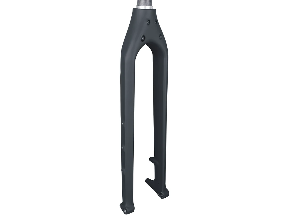 Trek 1120 Adventure Touring 29˝ Fork