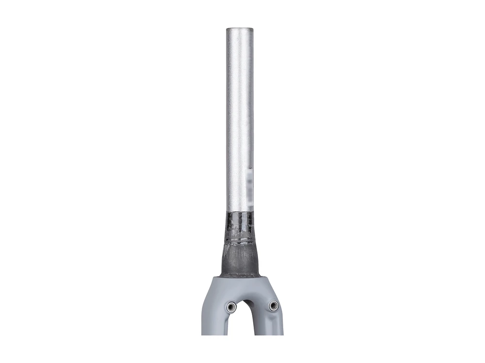Trek 2019 Emonda ALR 700c Fork