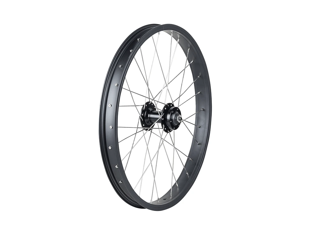 Trek Roscoe Boost 20˝ MTB Wheel