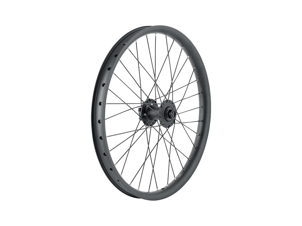 Trek Cargo Bike 6-Bolt Disc 20˝ Wheel